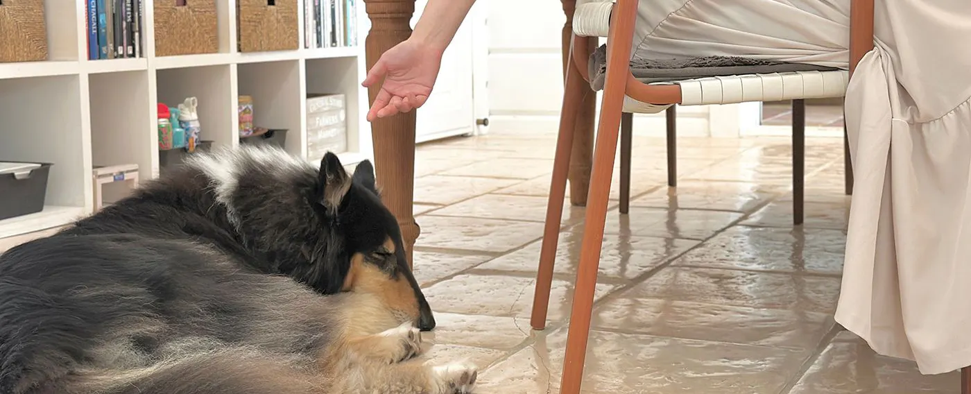 リビングルーム