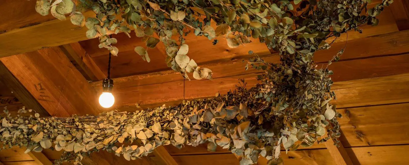 グリーンシャンデリア