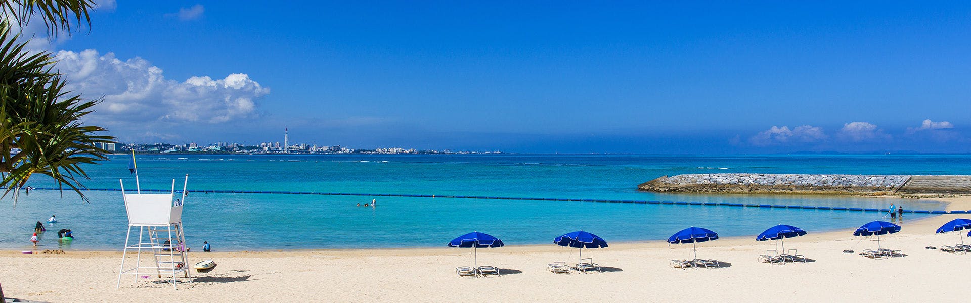 トップローテーション