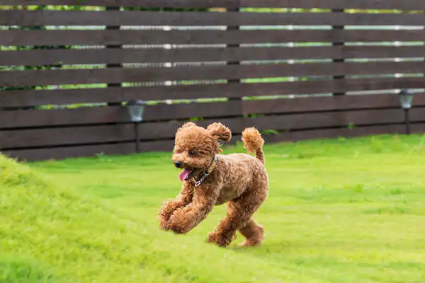 ตัวอย่างห้องพัก