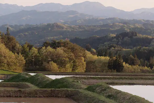 ตัวอย่างห้องพัก