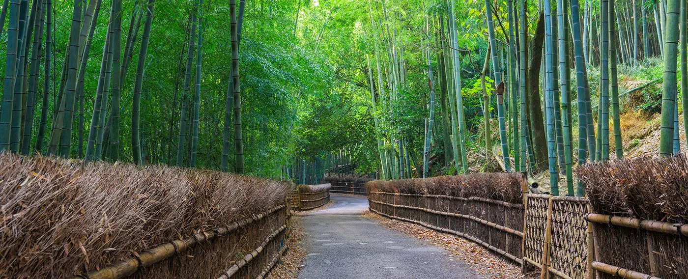 บริเวณโดยรอบ