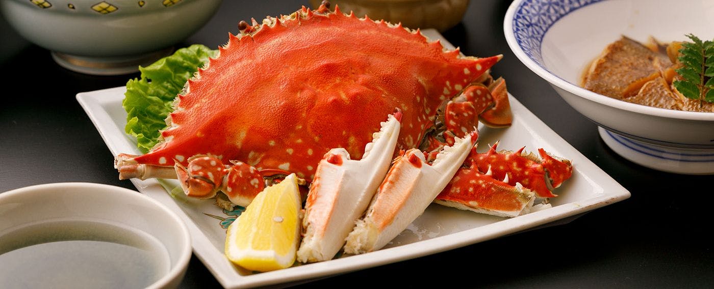 茜さす　肥前浜宿