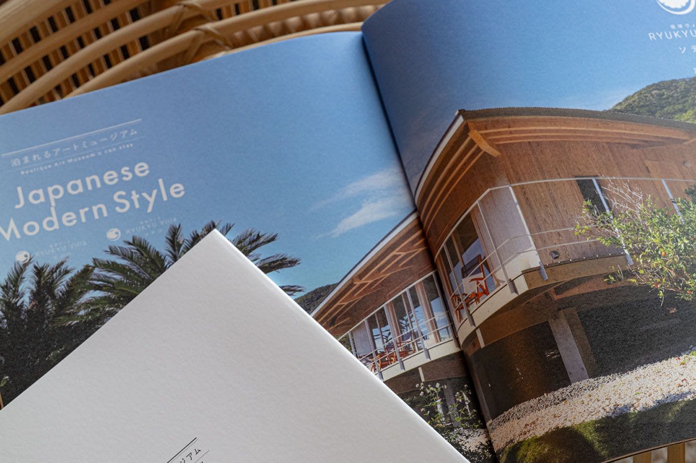 ～A Stayble Boutique Art Museum～ Ryukyu Villa