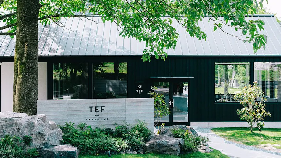 TEF TANIGUMI