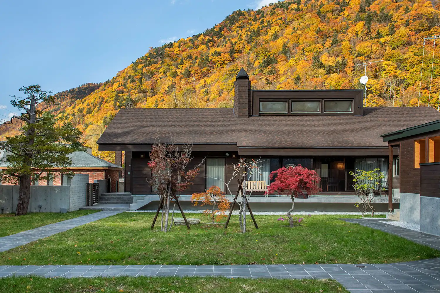 ลักษณะภายนอก