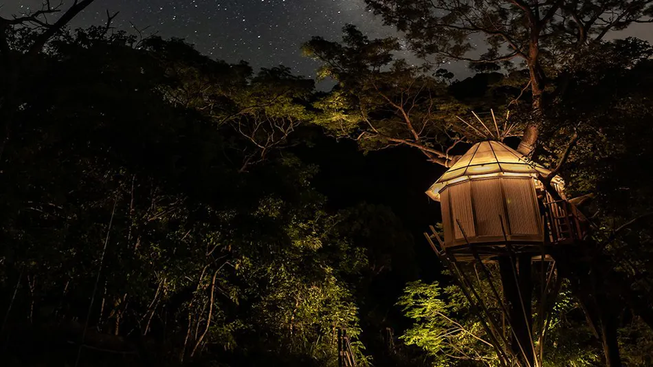 Treeful Treehouse Sustainable Resort