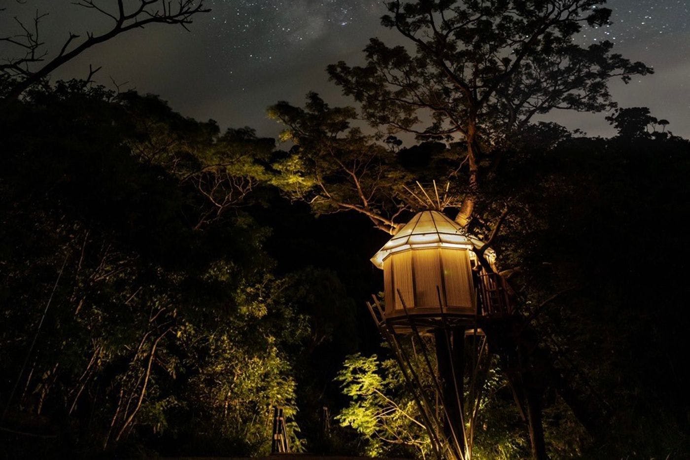 บ้านต้นไม้