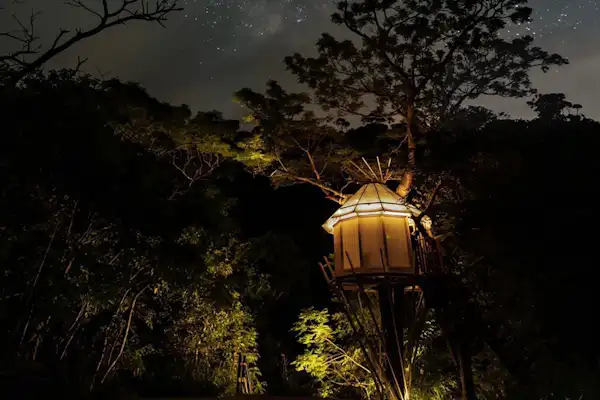 บ้านต้นไม้