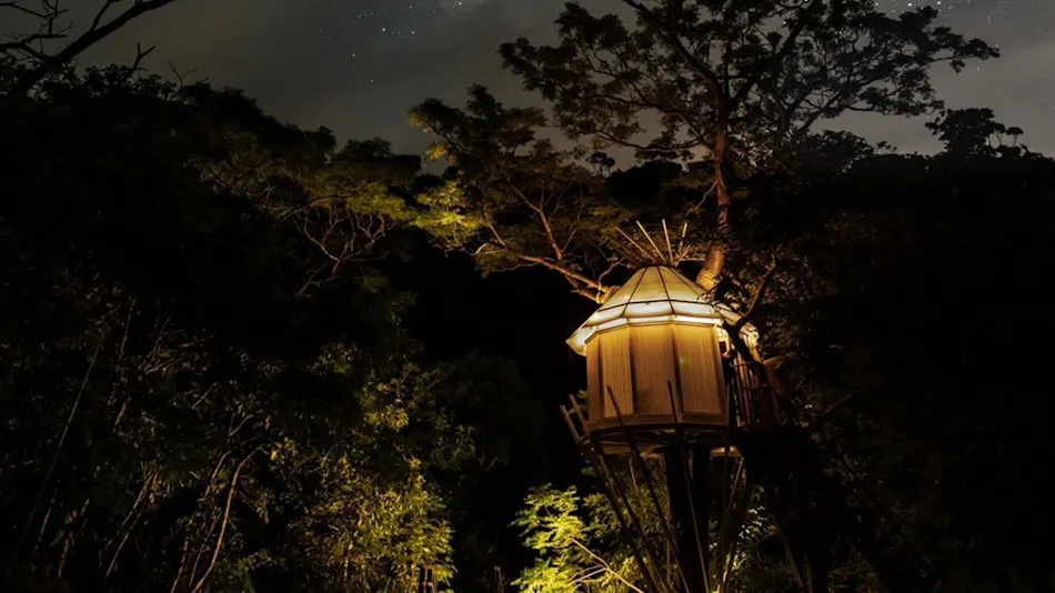 Treeful Treehouse Sustainable Resort