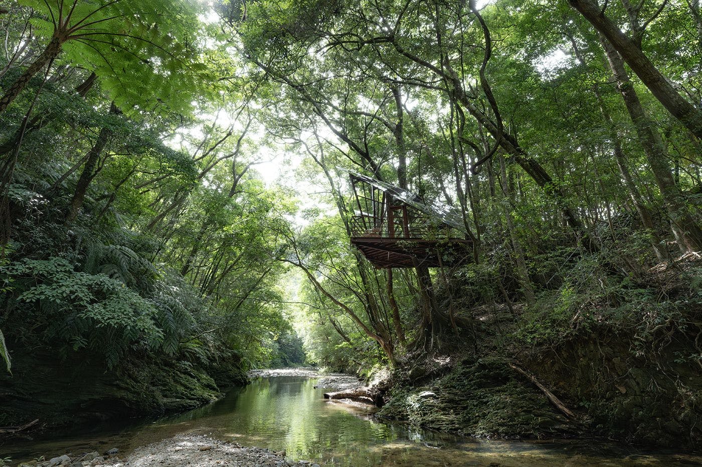 Treeful Treehouse Sustainable Resort Okinawa