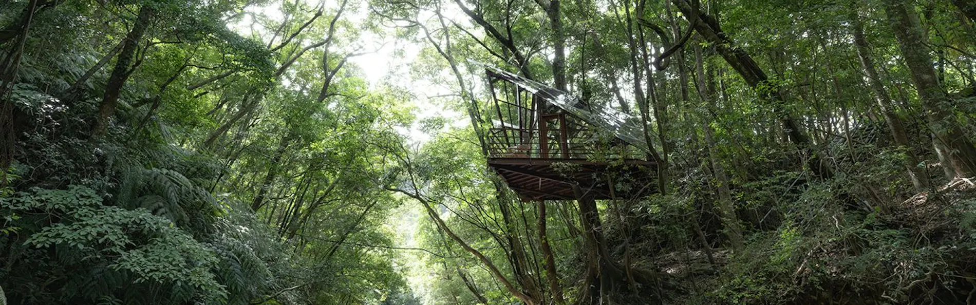 Treeful Treehouse Sustainable Resort Okinawa