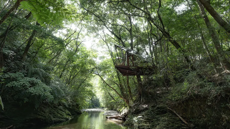 Treeful Treehouse Sustainable Resort