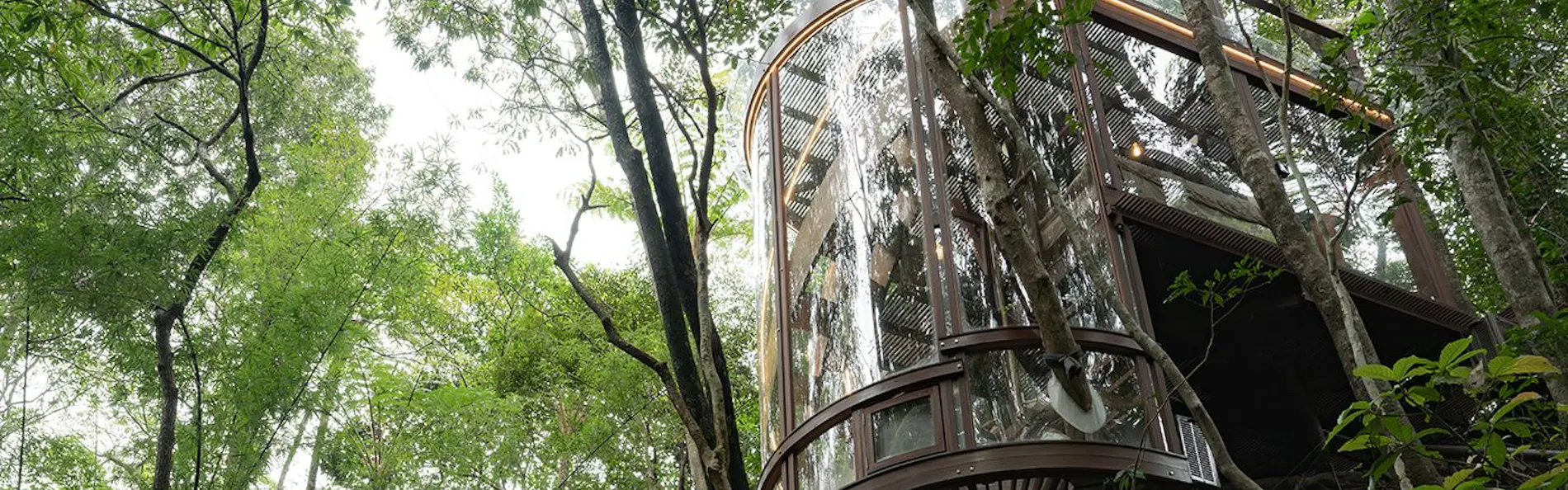 Treeful Treehouse Sustainable Resort Okinawa