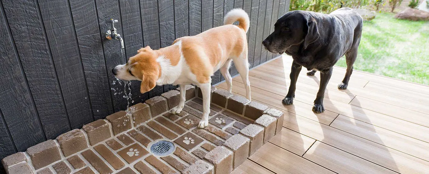 ワンちゃん専用の足洗場