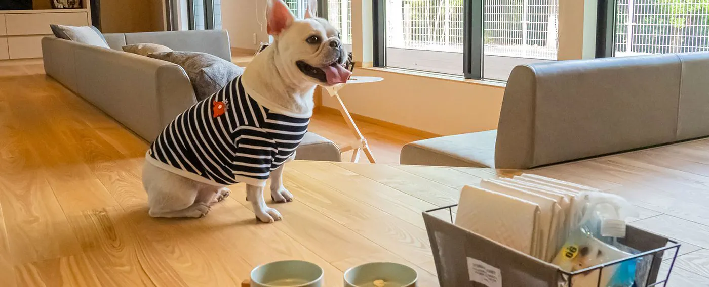 ห้องพัก