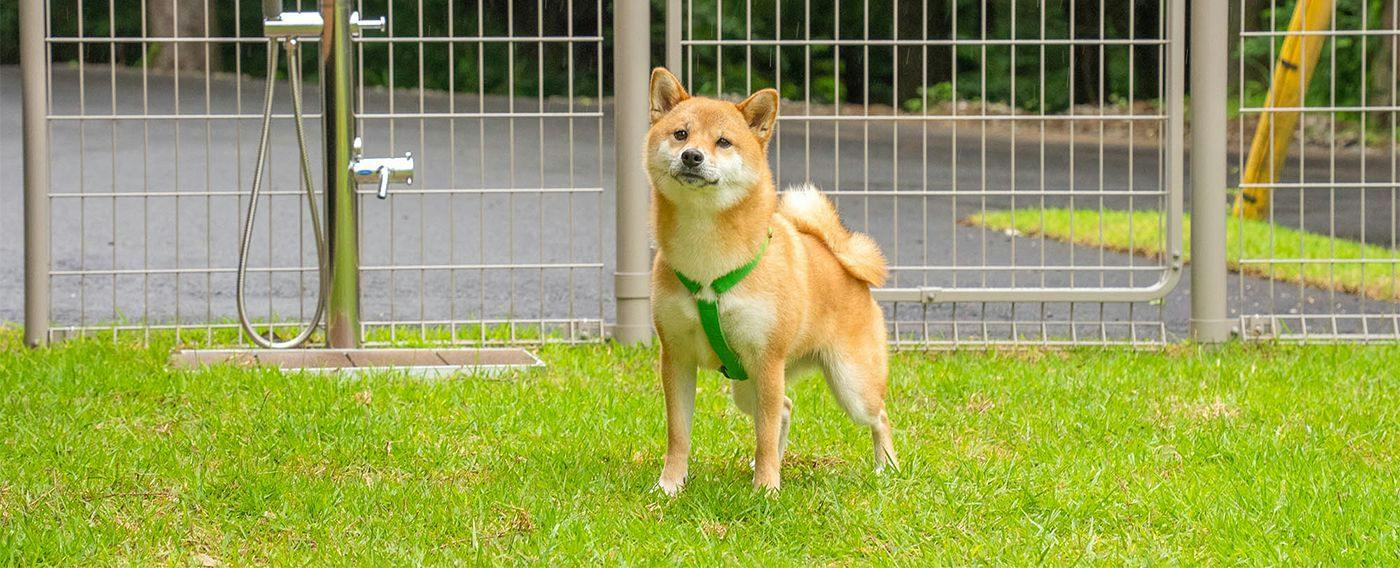 Rakuten STAY VILLA 阿蘇黒川