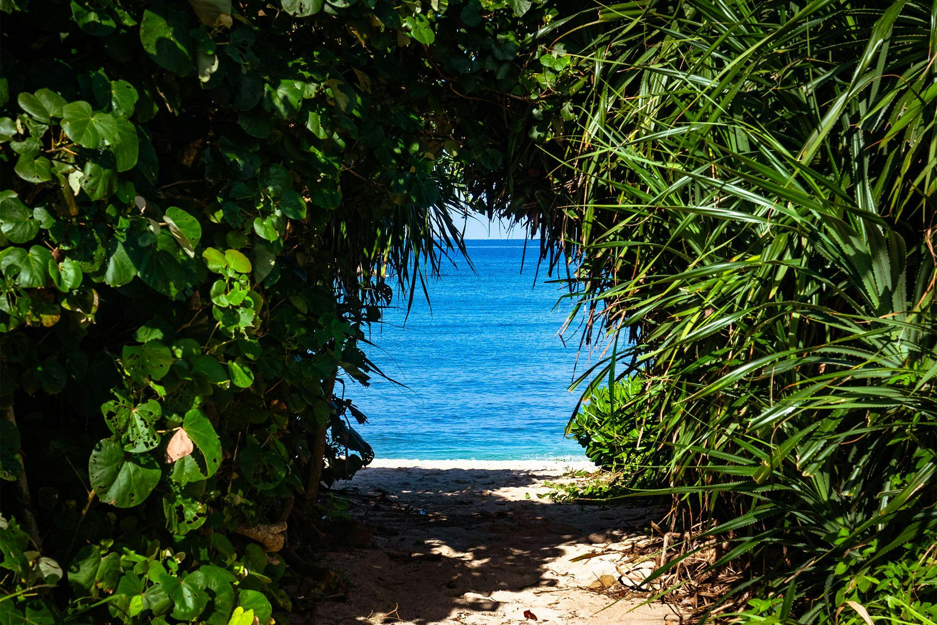 Black Diamond Miyakojima