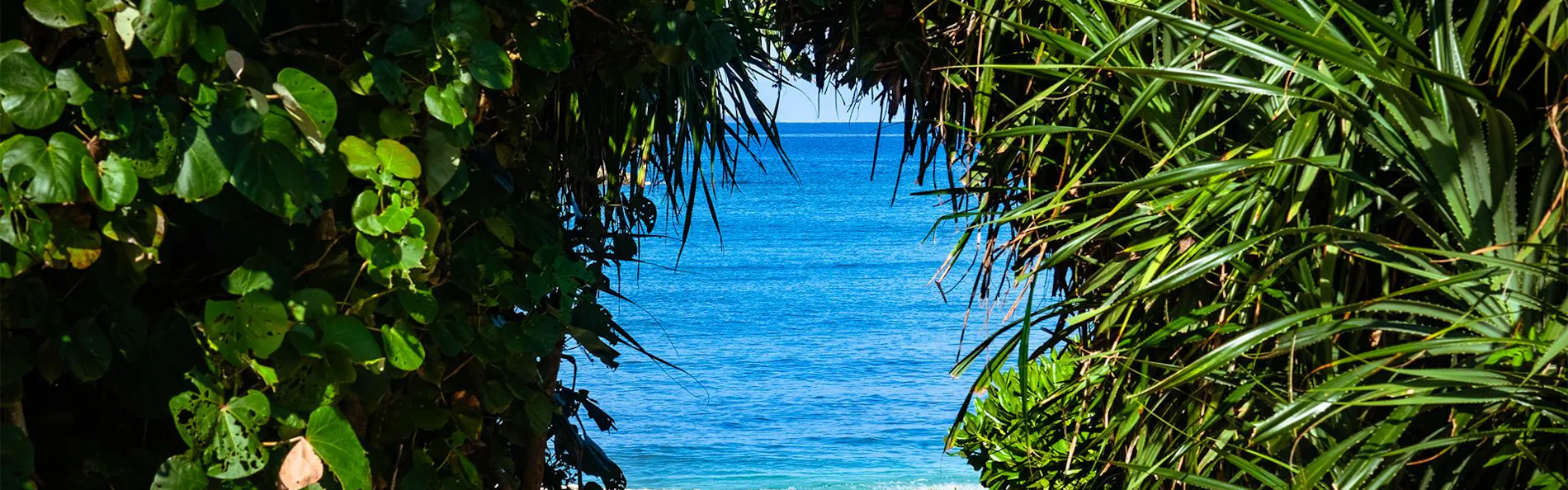 Black Diamond Miyakojima