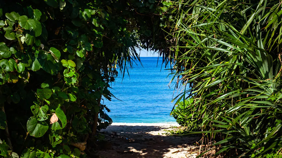Black Diamond Miyakojima