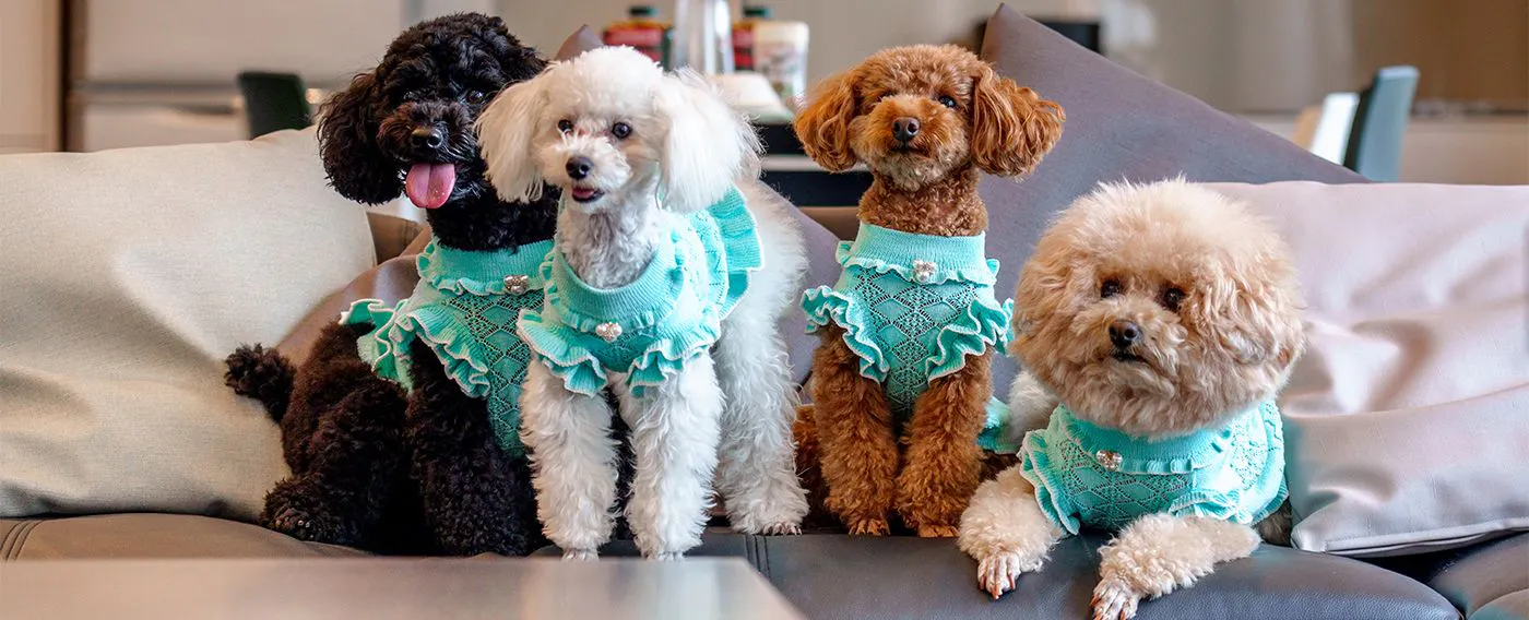 ペットと泊まれるプライベートヴィラ