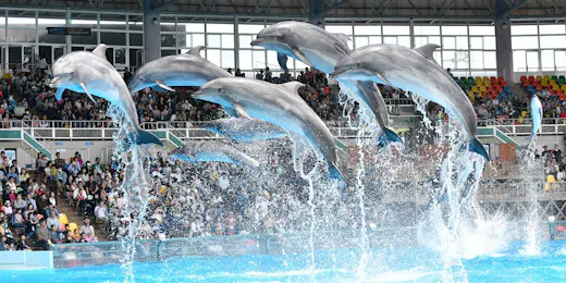 クリスタルヴィラ白浜パークサイド