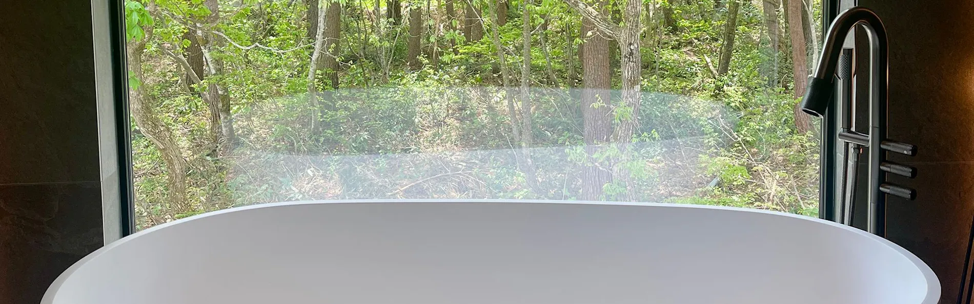 Forest Gardens