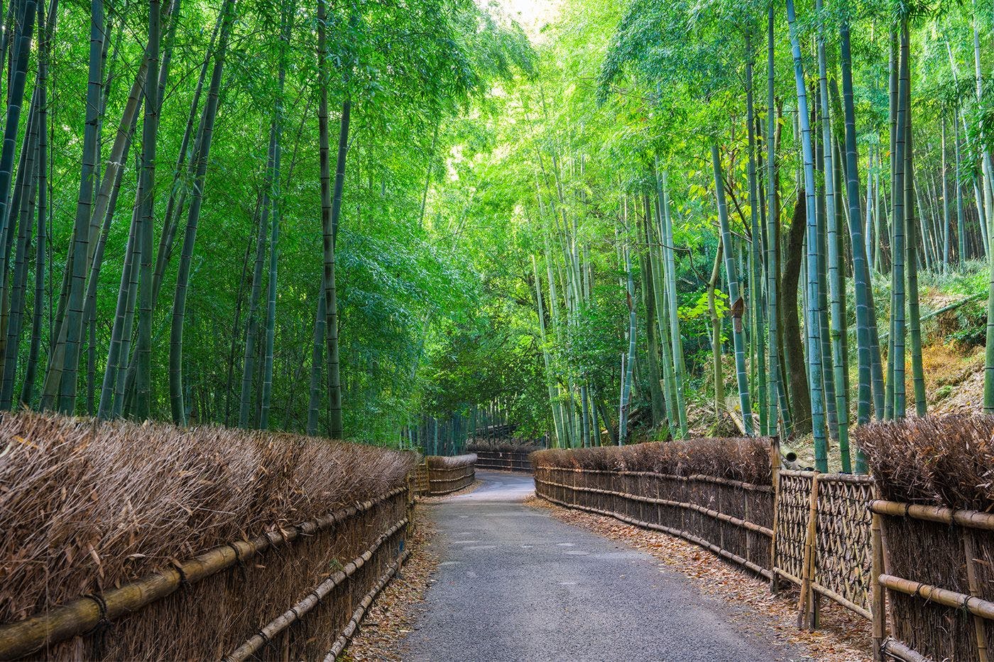よつき 〈一棟貸し町家〉