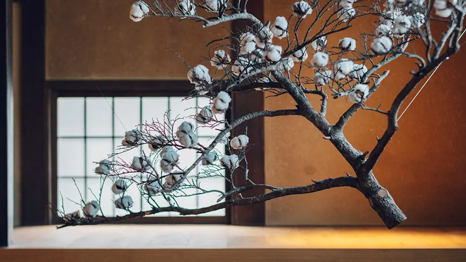 Tsukihi no Ie Kyoto