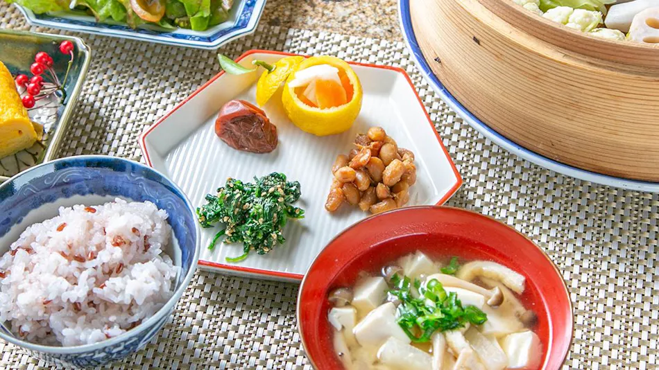 Japanese Villa Ichien