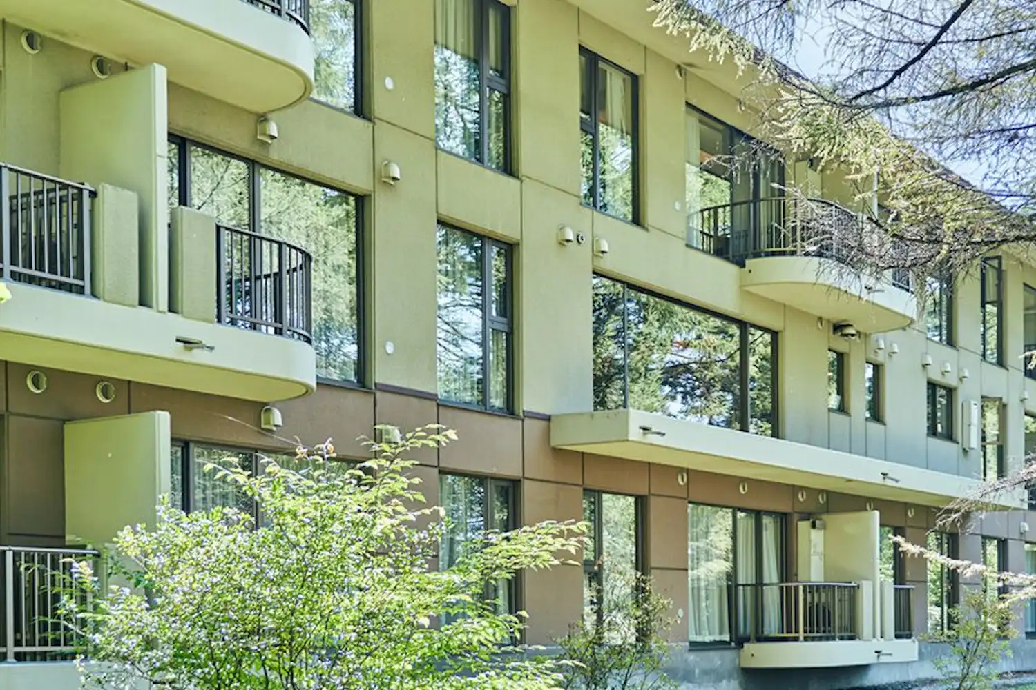 รูปลักษณ์ภายนอก