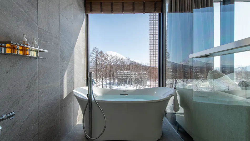 Intuition Niseko