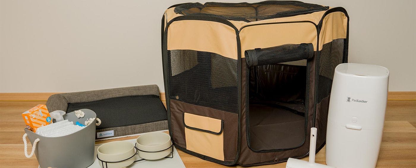 อุปกรณ์สำหรับสุนัข