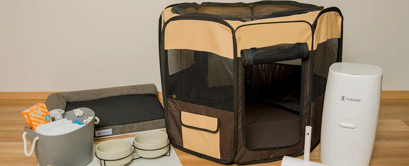 อุปกรณ์สำหรับสุนัข