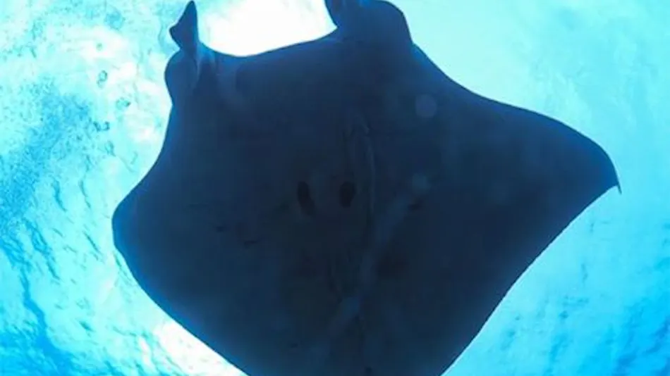 FUSAKI HILL ISHIGAKI