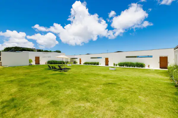 รูปลักษณ์ภายนอก