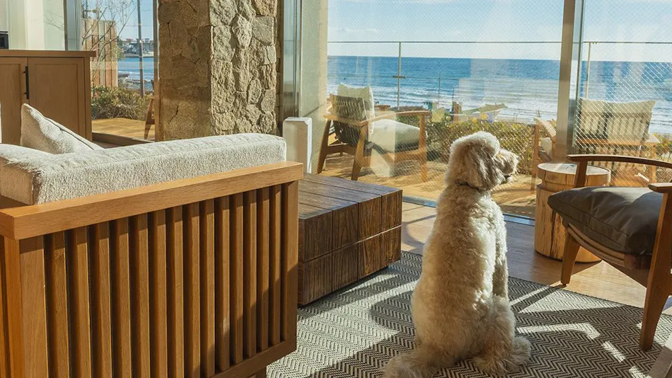 UMITO VILLA KAMAKURA ZAIMOKUZA