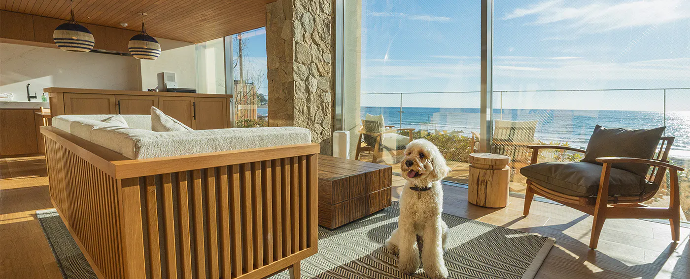 การตกแต่งภายใน