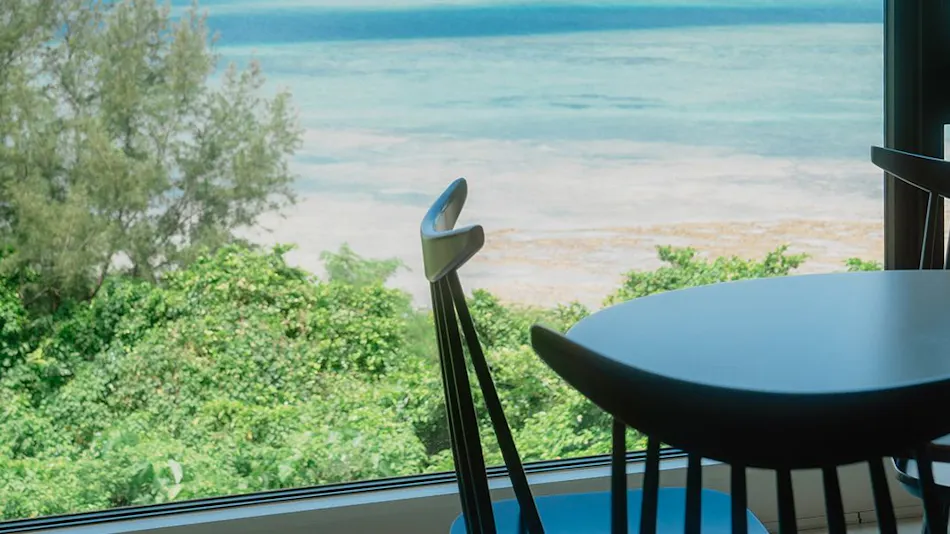 BLUE STEAK WONDER SENAHA