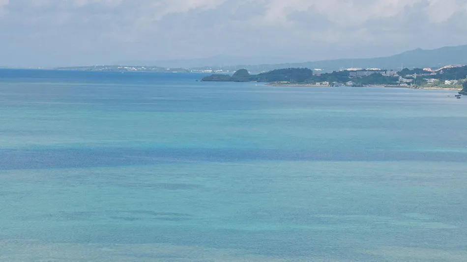 BLUE STEAK WONDER SENAHA