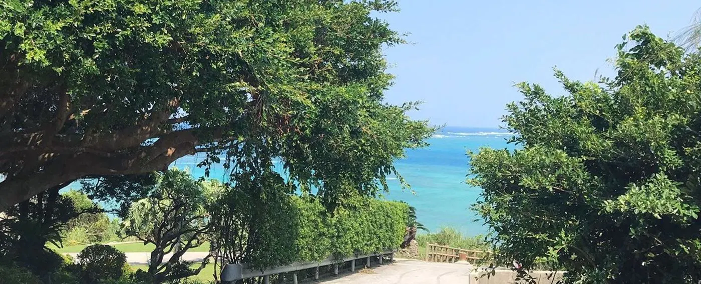 เซนาฮะบีช