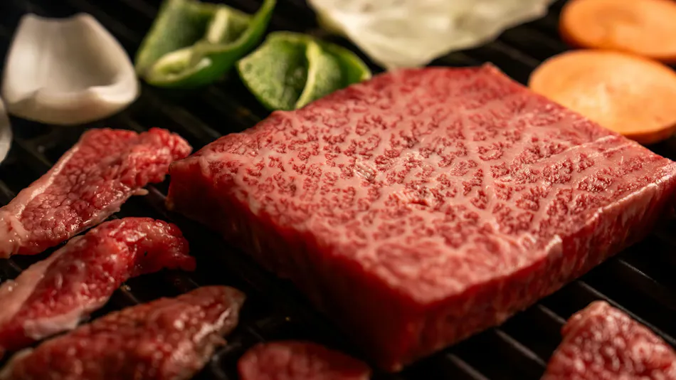 EZRA VILLA ~SHIRAHAMA~