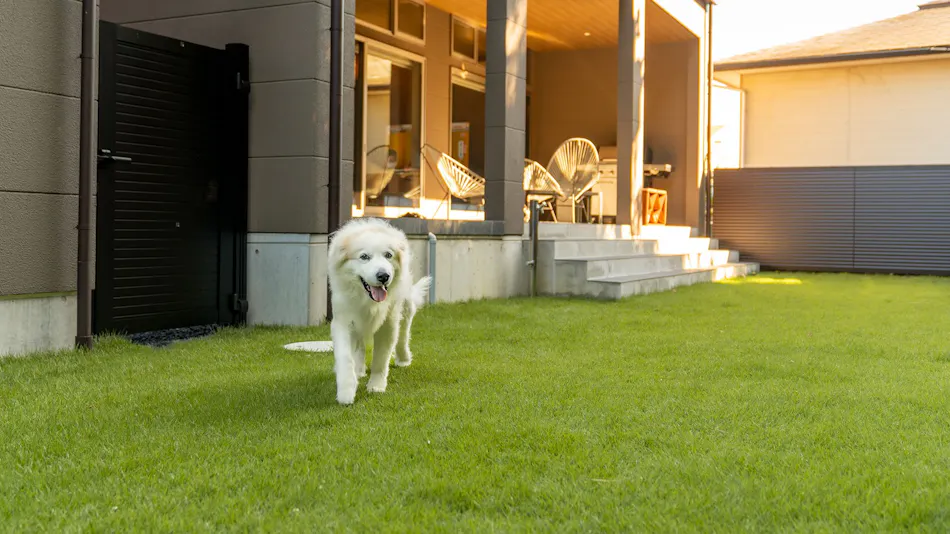 EZRA VILLA ~SHIRAHAMA~