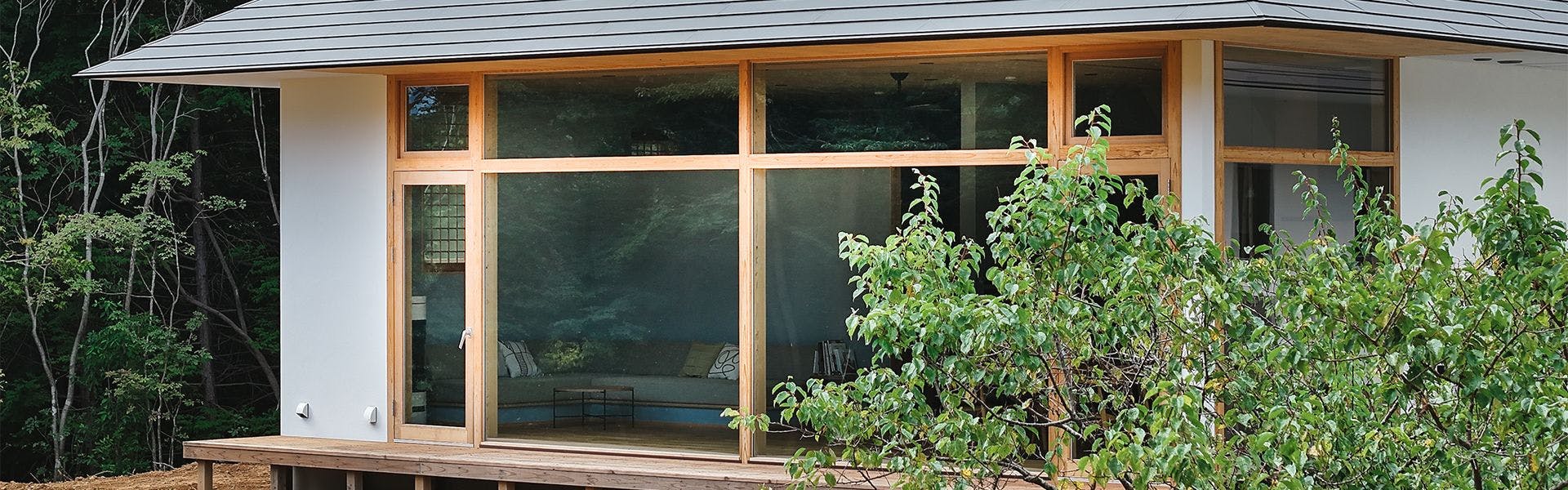 ลักษณะภายนอก