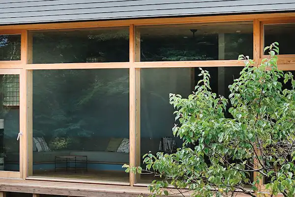 ลักษณะภายนอก