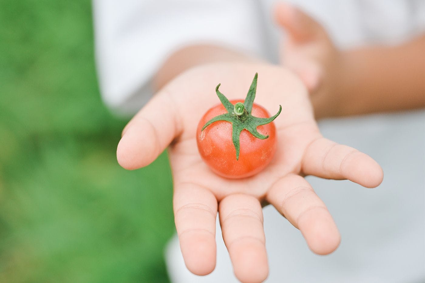 ฟาร์มของเรา