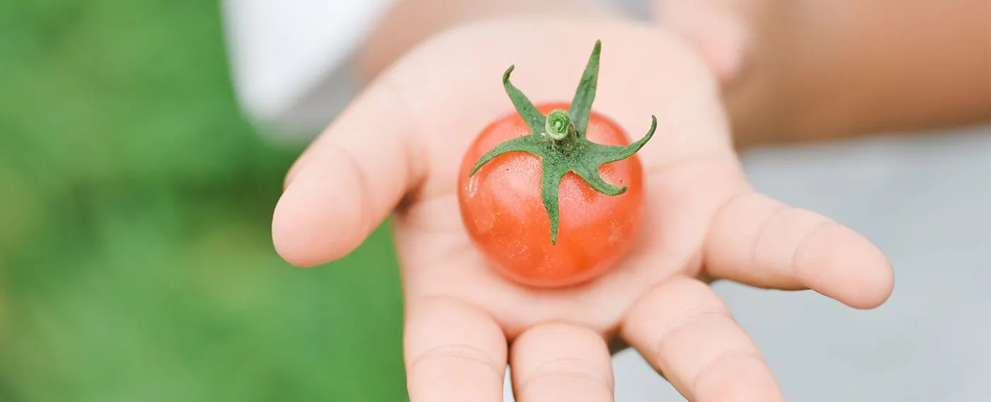 ฟาร์มของเรา