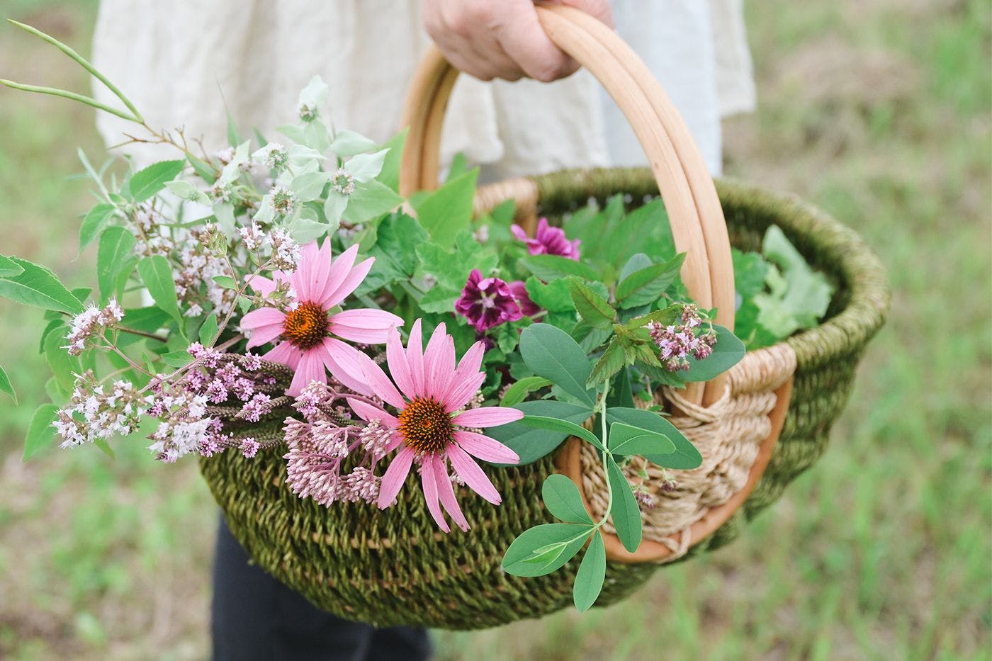 ฟาร์มของเรา