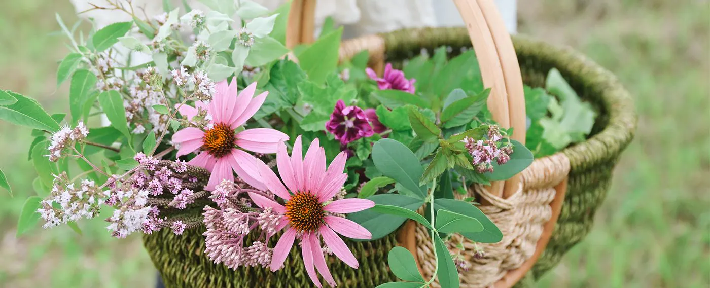 ฟาร์มของเรา