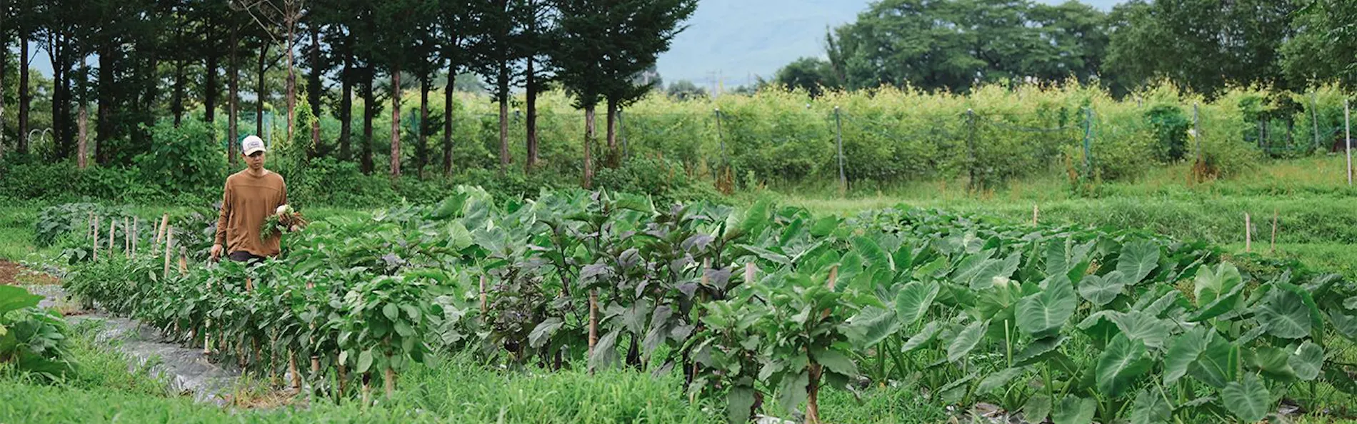 Agriturismo YUTAKA(アグリツーリズモ ユタカ)